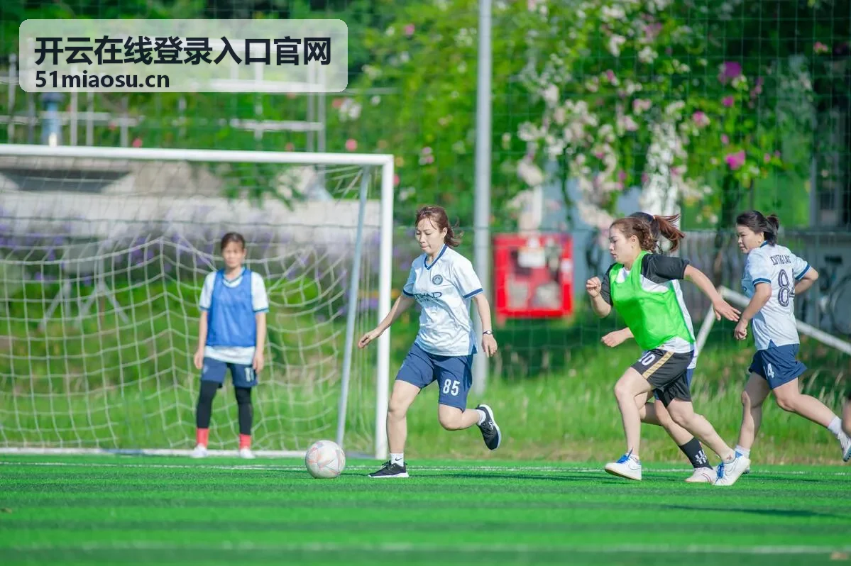 开云在线登录入口官网极速进入通道